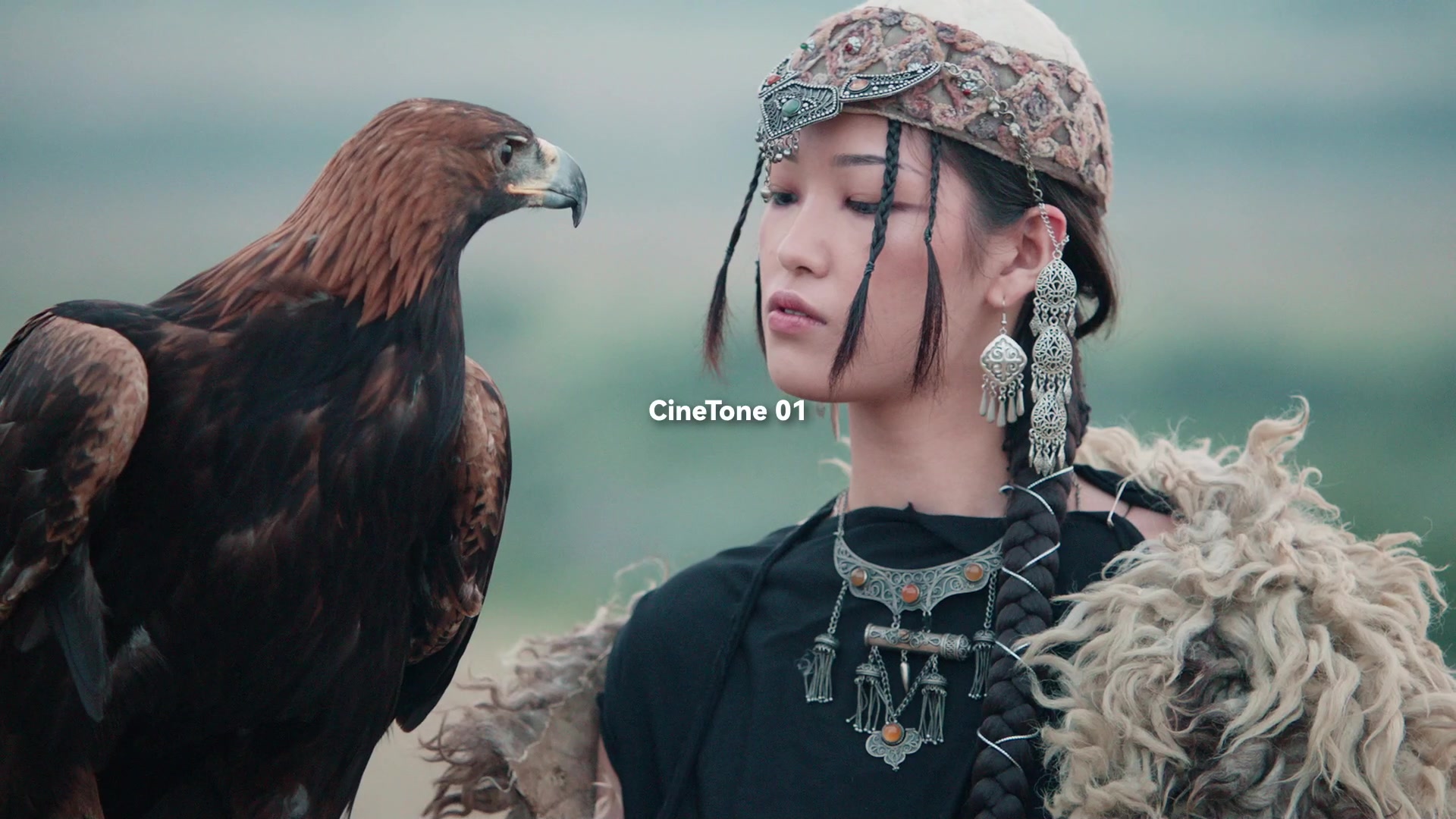 Color and edit video preview