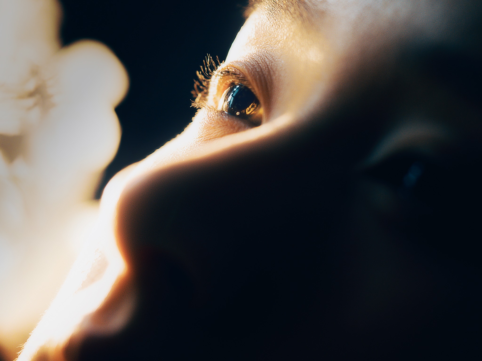 Extreme close-up portrait of an eye in warm light